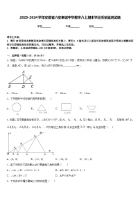 2023-2024学年安徽省六安皋城中学数学八上期末学业质量监测试题含答案