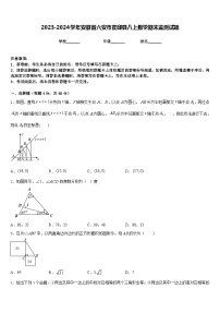 2023-2024学年安徽省六安市霍邱县八上数学期末监测试题含答案