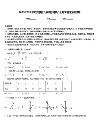 2023-2024学年安徽省六安市舒城县八上数学期末预测试题含答案