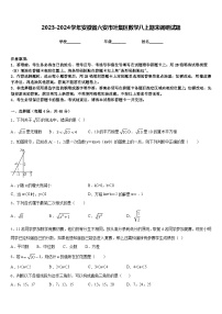 2023-2024学年安徽省六安市叶集区数学八上期末调研试题含答案