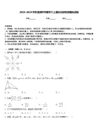 2023-2024学年城郊中学数学八上期末达标检测模拟试题含答案