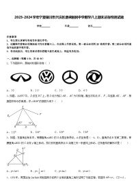 2023-2024学年宁夏银川市兴庆区唐徕回民中学数学八上期末达标检测试题含答案