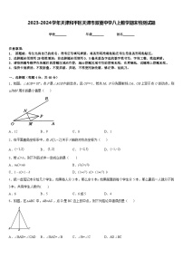 2023-2024学年天津和平区天津市双菱中学八上数学期末检测试题含答案