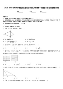 2023-2024学年天津市南开区南大附中数学八年级第一学期期末复习检测模拟试题含答案