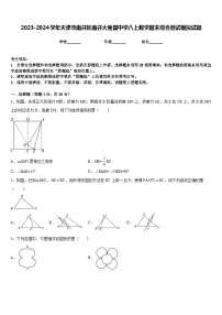 2023-2024学年天津市南开区南开大附属中学八上数学期末综合测试模拟试题含答案