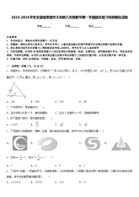 2023-2024学年安徽省阜阳市太和县八年级数学第一学期期末复习检测模拟试题含答案