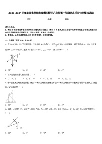 2023-2024学年安徽省阜阳市颍州区数学八年级第一学期期末质量检测模拟试题含答案