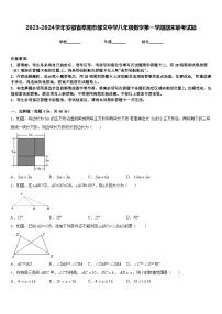 2023-2024学年安徽省阜阳市郁文中学八年级数学第一学期期末联考试题含答案