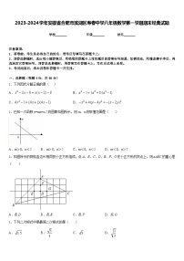 2023-2024学年安徽省合肥市滨湖区寿春中学八年级数学第一学期期末经典试题含答案