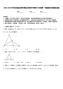 2023-2024学年安徽省合肥市蜀山区琥珀中学数学八年级第一学期期末检测模拟试题含答案