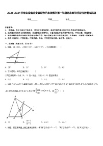 2023-2024学年安徽省来安县联考八年级数学第一学期期末教学质量检测模拟试题含答案