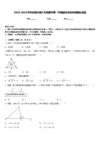 2023-2024学年安徽许镇八年级数学第一学期期末质量检测模拟试题含答案