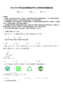 2023-2024学年山东日照明望台中学八上数学期末检测模拟试题含答案