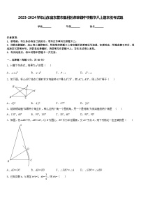 2023-2024学年山东省东营市垦利区郝家镇中学数学八上期末统考试题含答案