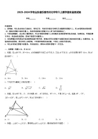 2023-2024学年山东省乐陵市开元中学八上数学期末监测试题含答案