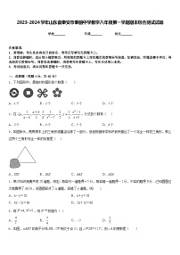 2023-2024学年山东省泰安市泰前中学数学八年级第一学期期末综合测试试题含答案