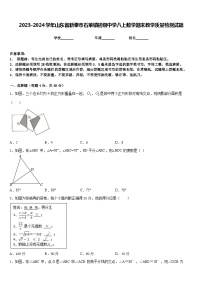 2023-2024学年山东省新泰市石莱镇初级中学八上数学期末教学质量检测试题含答案