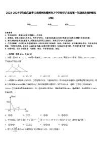 2023-2024学年山东省枣庄市滕州市滕州育才中学数学八年级第一学期期末调研模拟试题含答案