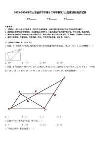 2023-2024学年山东省济宁市第十三中学数学八上期末达标测试试题含答案