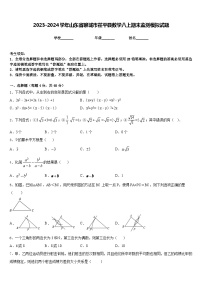 2023-2024学年山东省聊城市茌平县数学八上期末监测模拟试题含答案