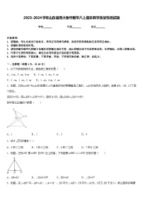 2023-2024学年山东省青大附中数学八上期末教学质量检测试题含答案