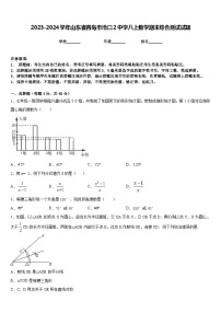 2023-2024学年山东省青岛市沧口2中学八上数学期末综合测试试题含答案