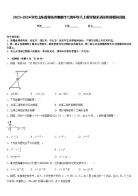 2023-2024学年山东省青岛市即墨市七级中学八上数学期末达标检测模拟试题含答案