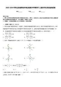 2023-2024学年山东省青岛市崂山区部分中学数学八上期末学业质量监测试题含答案