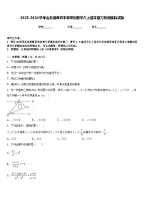 2023-2024学年山东省潍坊市寒亭区数学八上期末复习检测模拟试题含答案