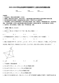 2023-2024学年山东省潍坊市辖县数学八上期末达标检测模拟试题含答案