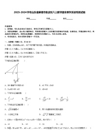 2023-2024学年山东省淄博市张店区八上数学期末教学质量检测试题含答案