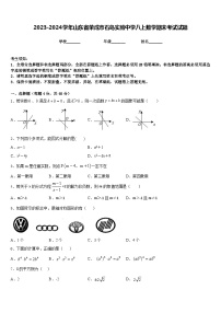 2023-2024学年山东省荣成市石岛实验中学八上数学期末考试试题含答案