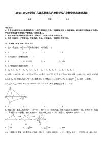 2023-2024学年广东省东莞市东方明珠学校八上数学期末调研试题含答案