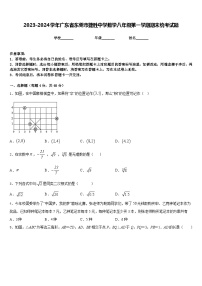 2023-2024学年广东省东莞市捷胜中学数学八年级第一学期期末统考试题含答案