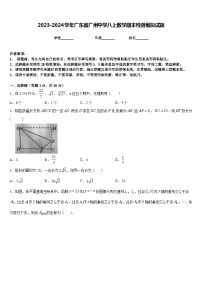 2023-2024学年广东省广州中学八上数学期末检测模拟试题含答案