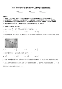 2023-2024学年广东省广州中学八上数学期末检测模拟试题含答案