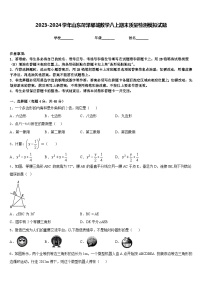 2023-2024学年山东菏泽郓城数学八上期末质量检测模拟试题含答案