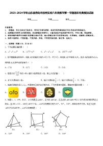 2023-2024学年山东省青岛市胶州实验八年级数学第一学期期末经典模拟试题含答案