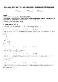 2023-2024学年广东省广州大附中八年级数学第一学期期末教学质量检测模拟试题含答案