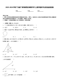 2023-2024学年广东省广州市越秀区知用中学八上数学期末学业质量监测试题含答案