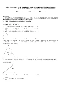 2023-2024学年广东省广州市越秀区知用中学八上数学期末学业质量监测试题含答案