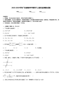 2023-2024学年广东省横沥中学数学八上期末监测模拟试题含答案