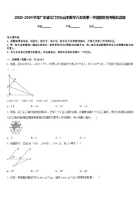 2023-2024学年广东省江门市台山市数学八年级第一学期期末统考模拟试题含答案