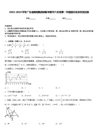 2023-2024学年广东省揭阳揭西县联考数学八年级第一学期期末质量检测试题含答案