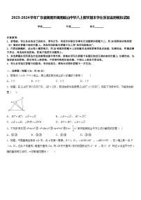 2023-2024学年广东省揭阳市揭阳岐山中学八上数学期末学业质量监测模拟试题含答案