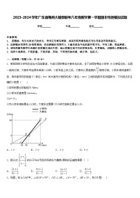 2023-2024学年广东省梅州大埔县联考八年级数学第一学期期末检测模拟试题含答案