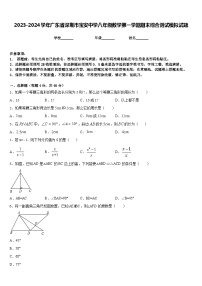 2023-2024学年广东省深圳市宝安中学八年级数学第一学期期末综合测试模拟试题含答案