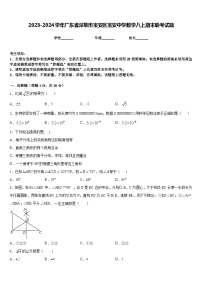 2023-2024学年广东省深圳市宝安区宝安中学数学八上期末联考试题含答案