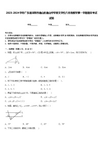 2023-2024学年广东省深圳市南山区南山中学英文学校八年级数学第一学期期末考试试题含答案