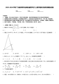 2023-2024学年广东省深圳市龙岗区南湾学校八上数学期末质量检测模拟试题含答案